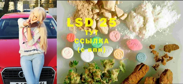 ГАЛЛЮЦИНОГЕННЫЕ ГРИБЫ Алзамай