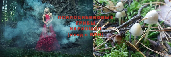 ГАЛЛЮЦИНОГЕННЫЕ ГРИБЫ Алзамай